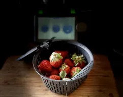 Step <p>incorpora el cestillo en el vaso con los fresones en su interior .</p> illustration