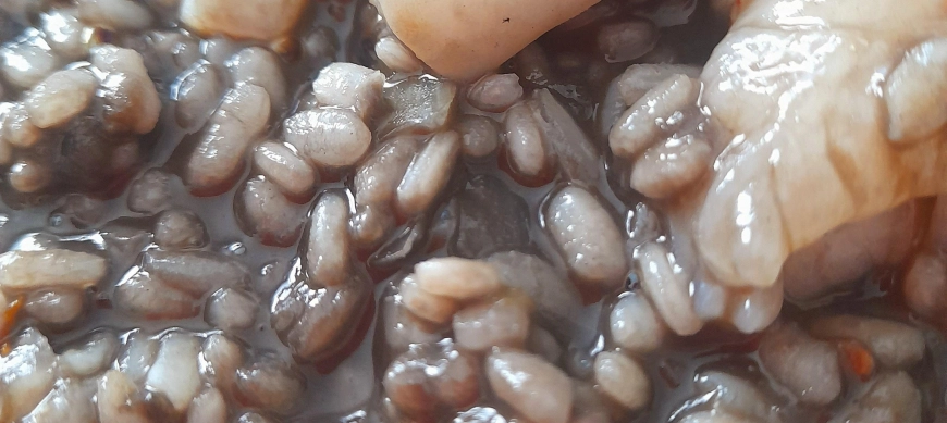 ARROZ NEGRO CON GAMBONES Y SEPIA