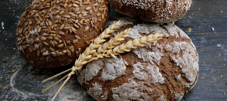 Cómo usar el Modo Fermentar de tu Thermomix TM6 para pan y masas