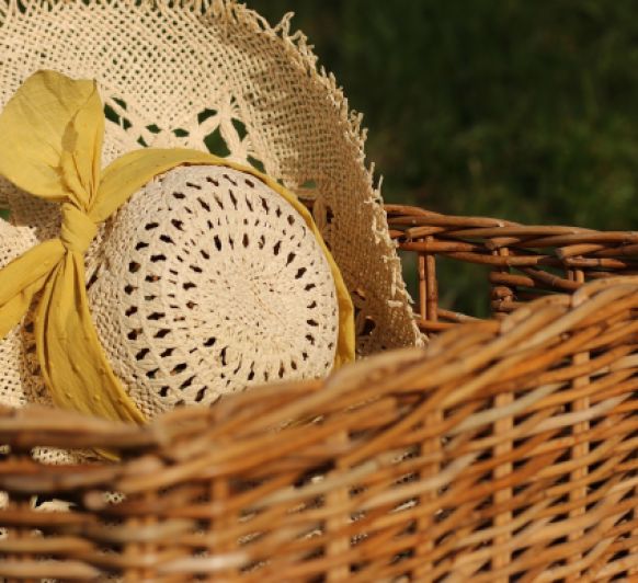 Especial Picnic: Fiambre de pollo con pistachos y chutney de fresas