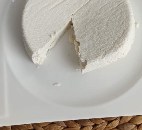 Cómo hacer queso fresco en Thermomix®